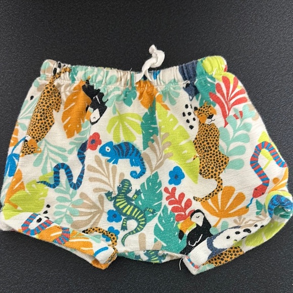 Old Navy Green and Blue Jungle Print Shorts - Picture 1 of 2